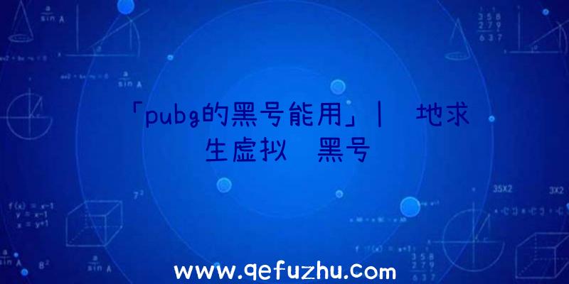 「pubg的黑号能用」|绝地求生虚拟账黑号